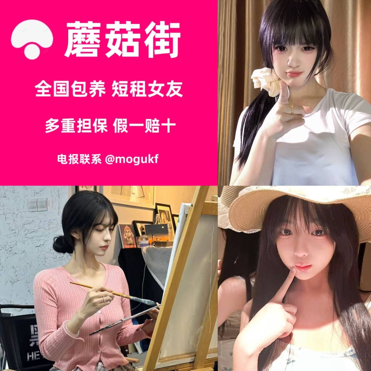 介绍图片