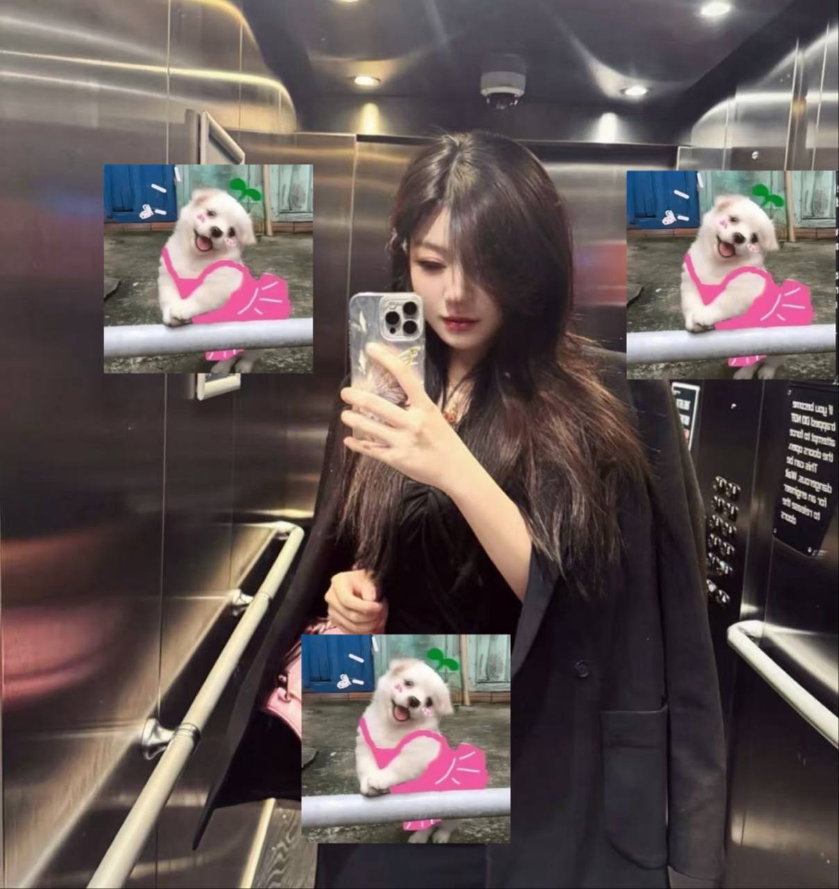 安徽 合肥 编号：099210 (点击复制)
➡️ 