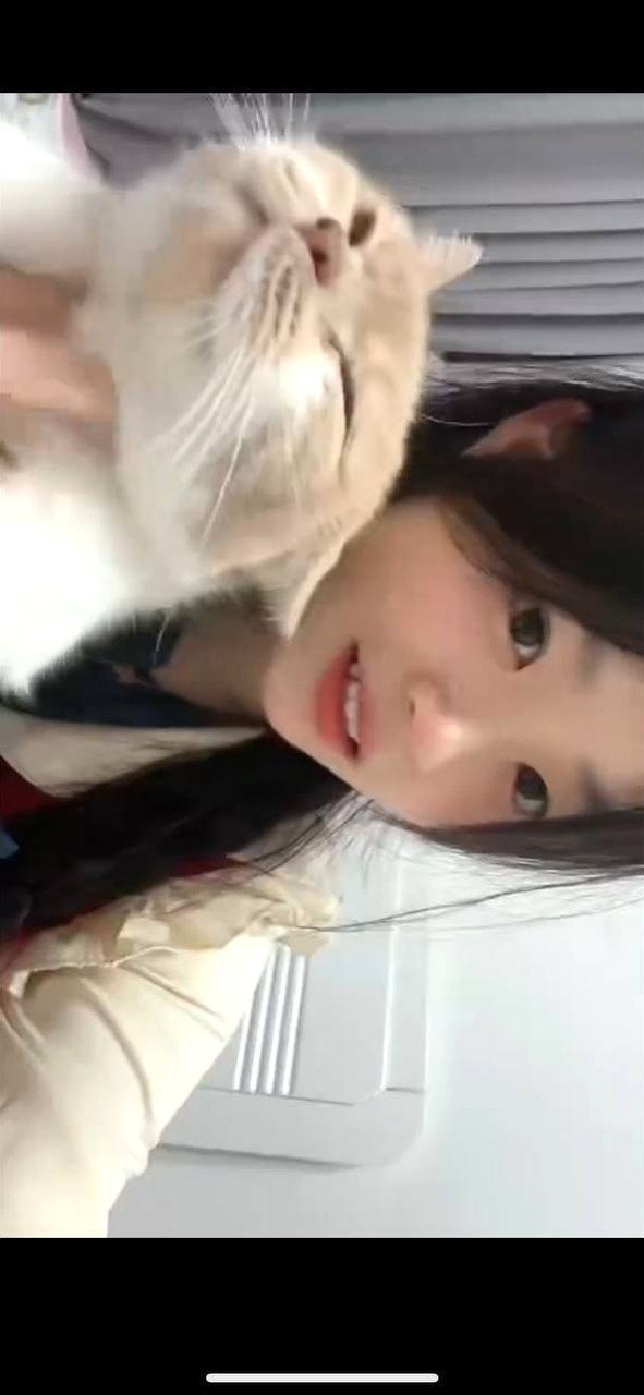 安徽 芜湖 编号：645273 (点击复制)
➡️ 