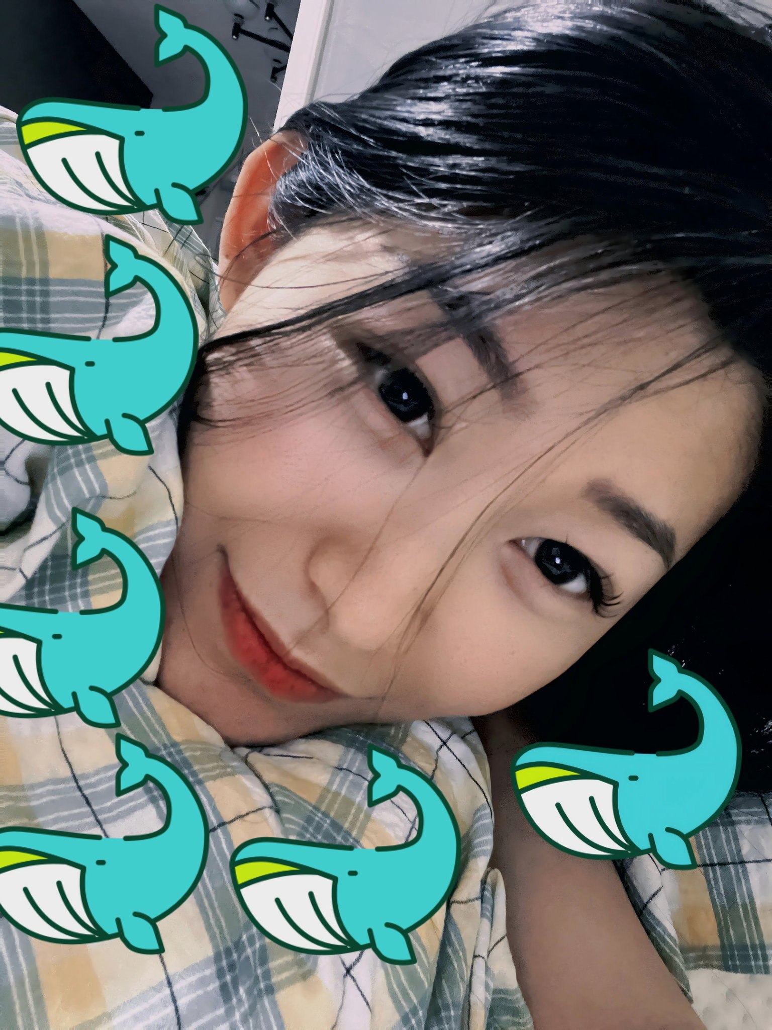 北京 编号：757785 (点击复制)
➡️ 