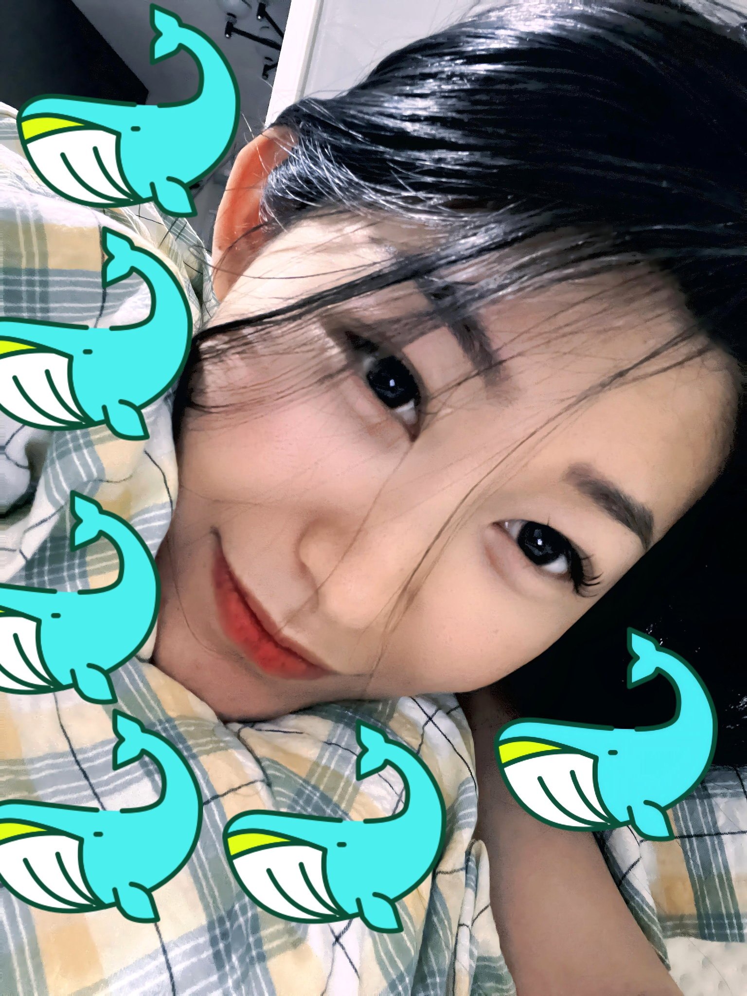 北京 编号：101100 (点击复制)
➡️ 
