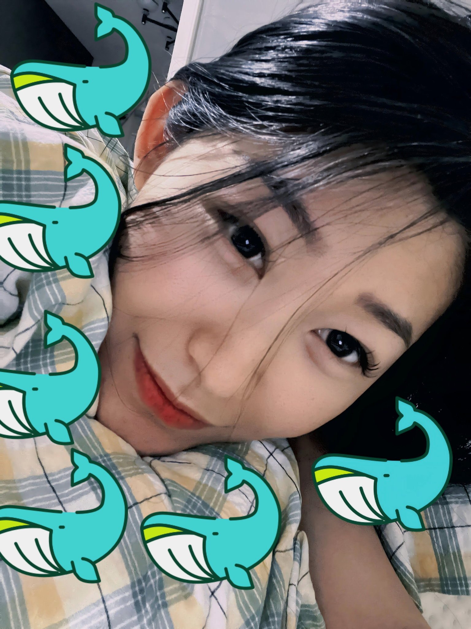 北京 编号：139079 (点击复制)
➡️ 