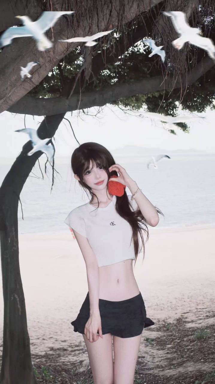 北京 编号：903392 (点击复制)
➡️ 