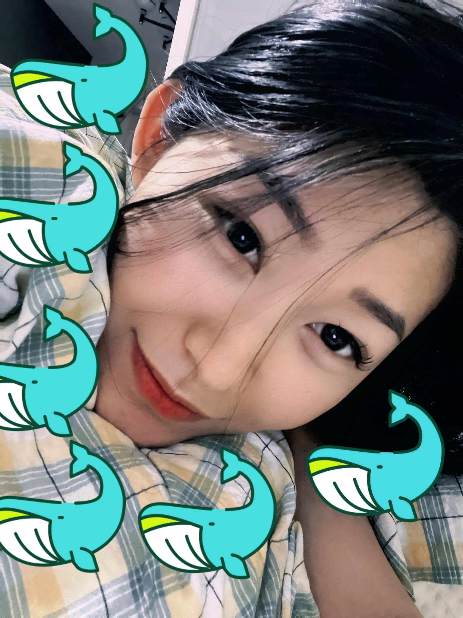 北京 编号：595928 (点击复制)
➡️ 