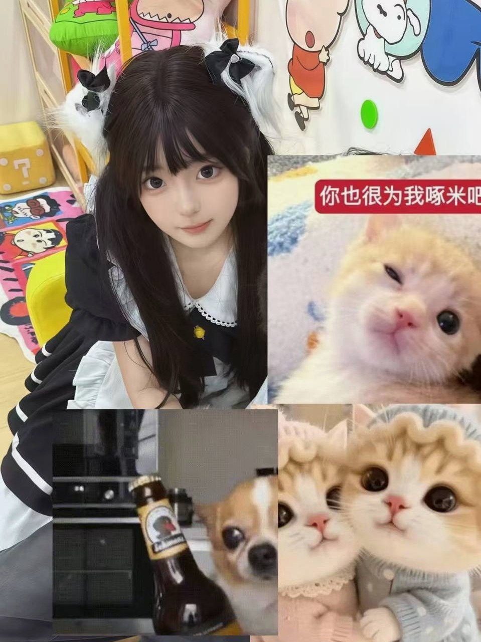 北京 编号：216765 (点击复制)
➡️ 