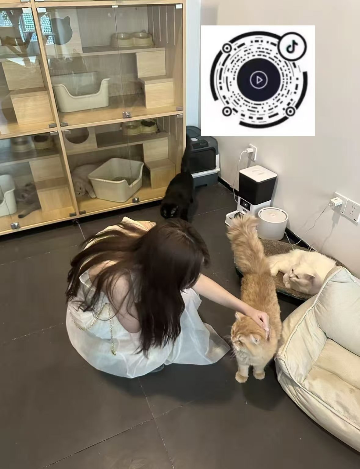 北京 编号：266965 (点击复制)
➡️ 