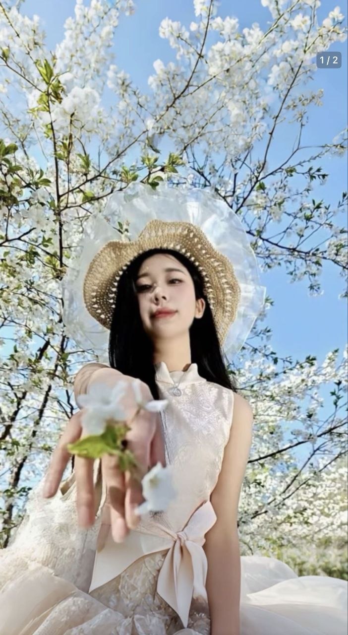 北京 编号：447391 (点击复制)
➡️ 