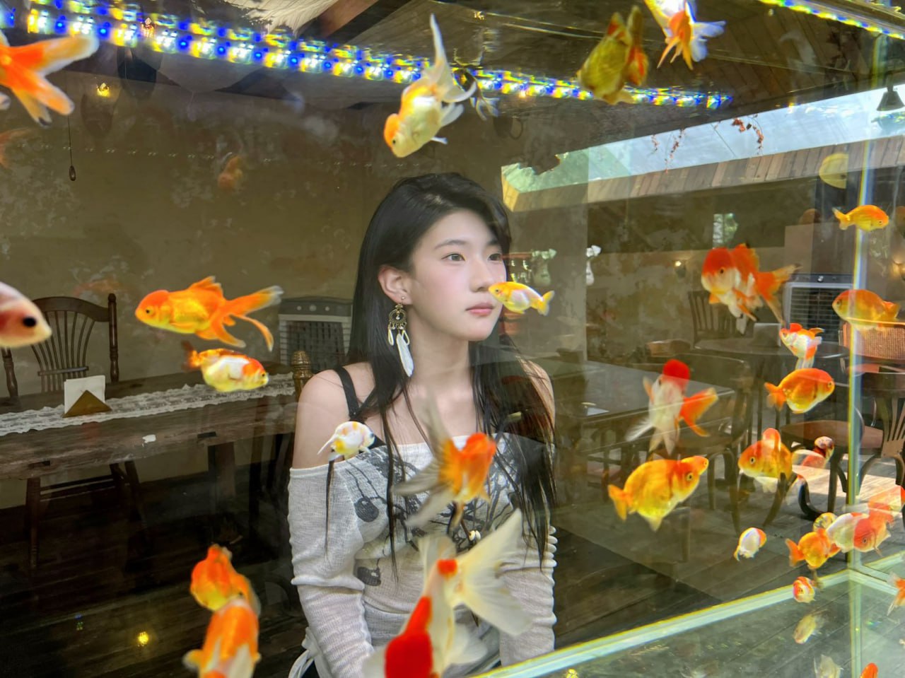 北京 编号：371034 (点击复制)
➡️ 