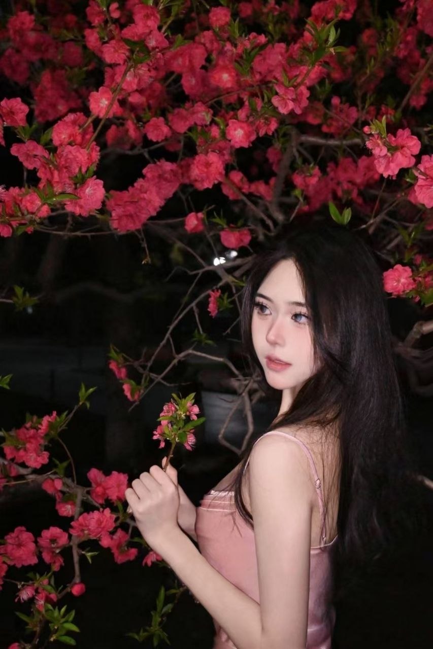 北京 编号：698281 (点击复制)
➡️ 