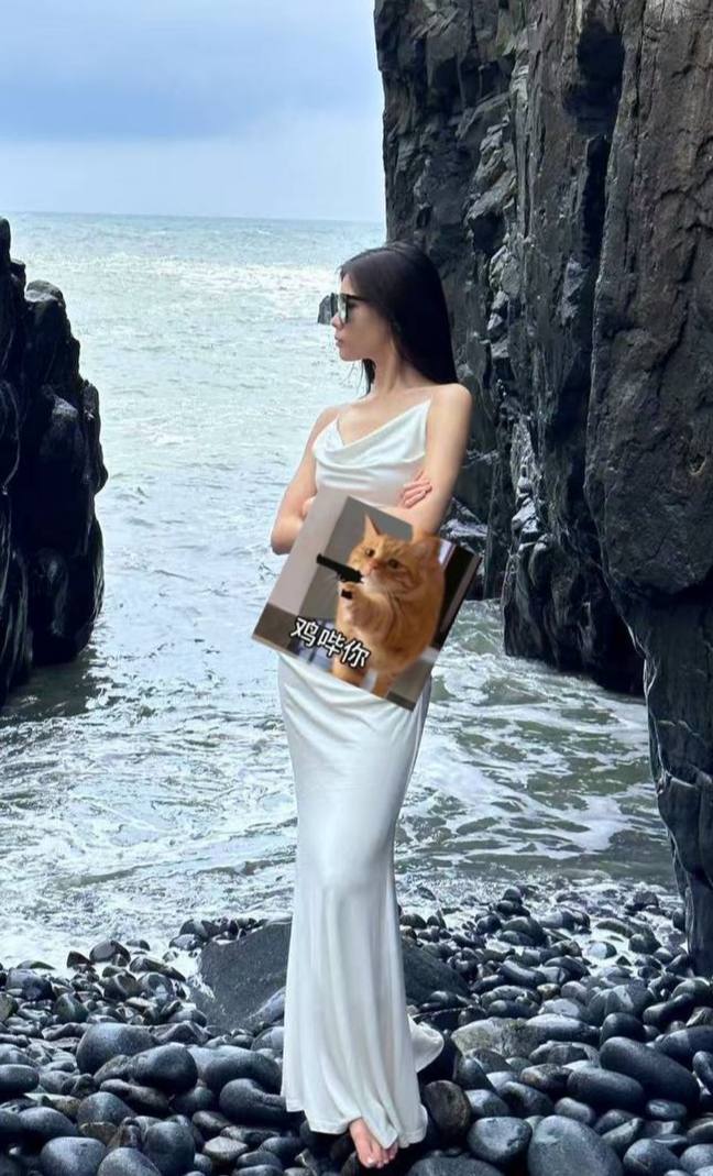 福建 漳州 编号：656586 (点击复制)
➡️ 