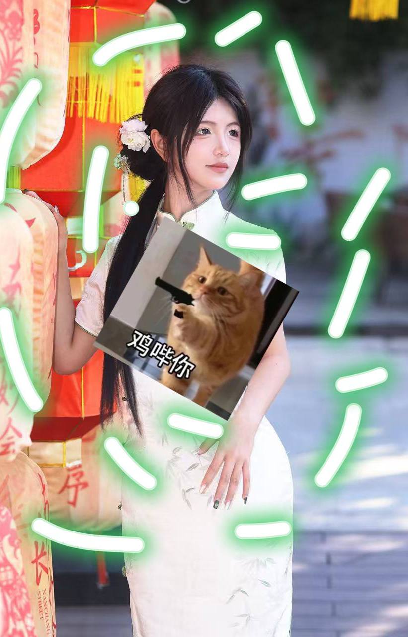 福建 厦门 编号：158244 (点击复制)
➡️ 