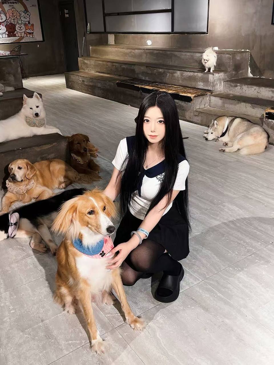 福建 编号：267139 (点击复制)
➡️ 