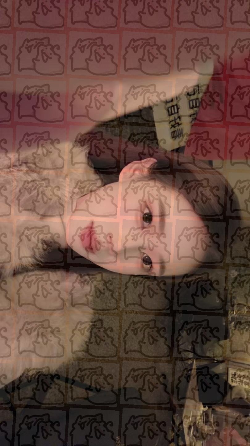 福建 泉州 编号：985113 (点击复制)
➡️ 