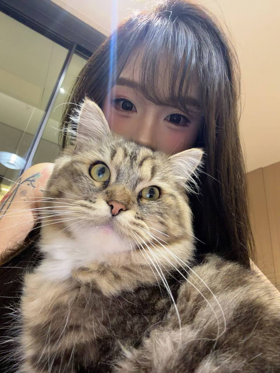 福建 厦门 编号：264590 (点击复制)
➡️ 