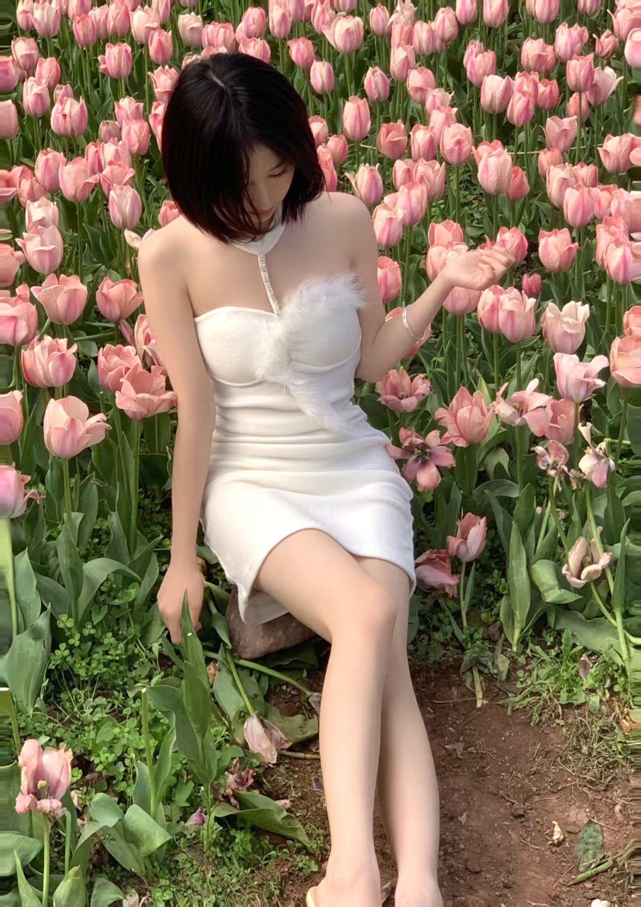 福建 福州 编号：856049 (点击复制)
➡️ 