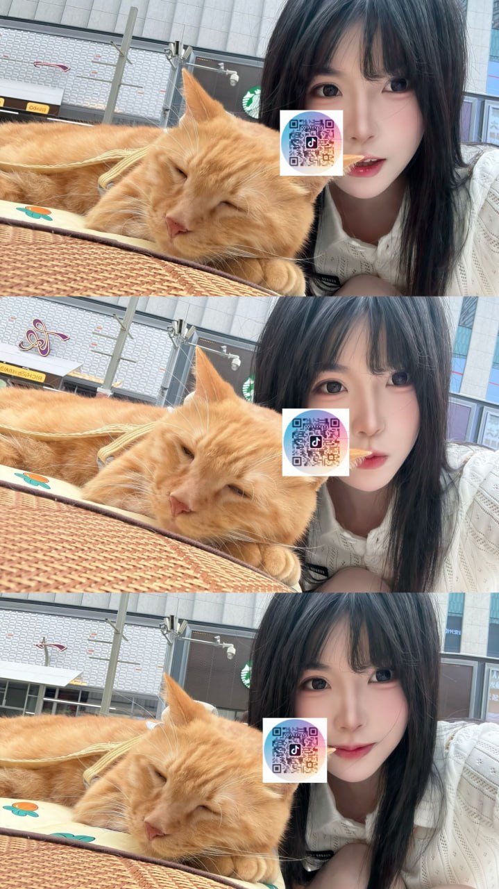 福建 泉州 编号：579477 (点击复制)
➡️ 