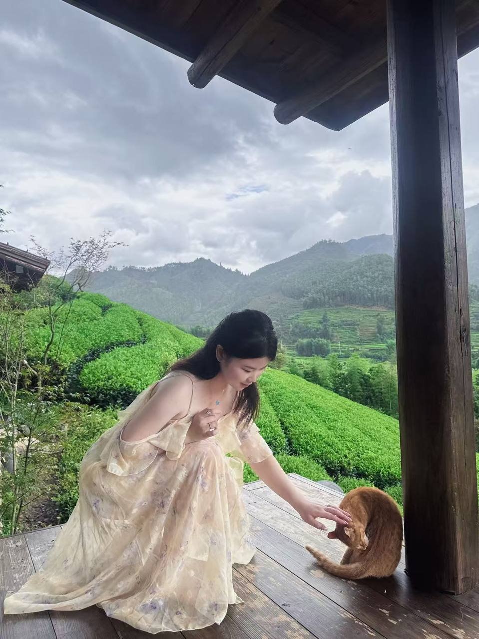福建 泉州 编号：660528 (点击复制)
➡️ 