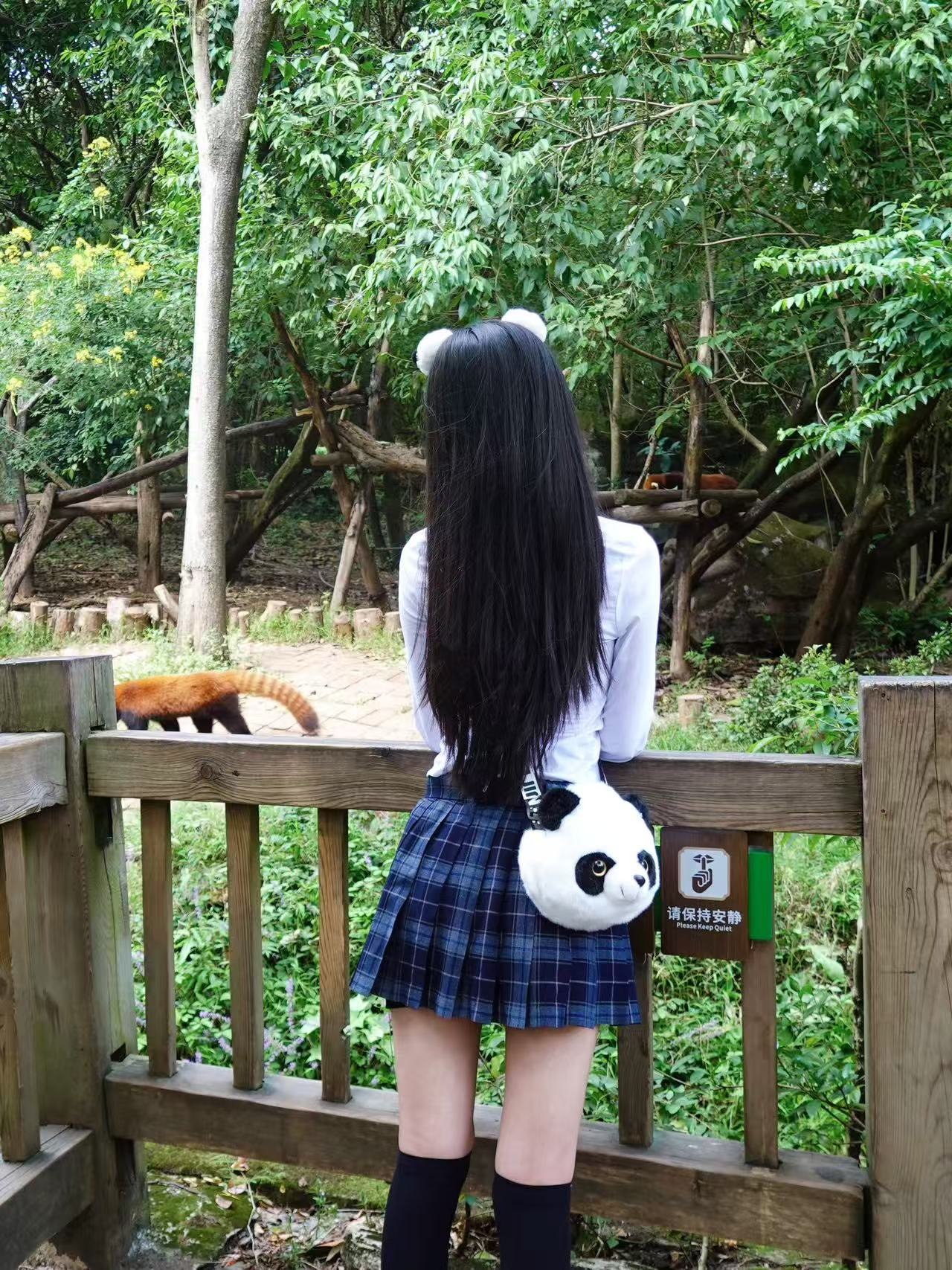 福建 漳州 编号：532862 (点击复制)
➡️ 