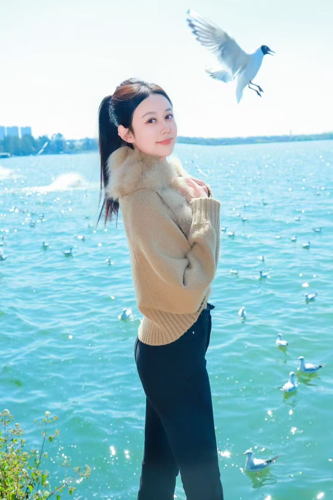 福建 厦门 编号：913201 (点击复制)
➡️ 