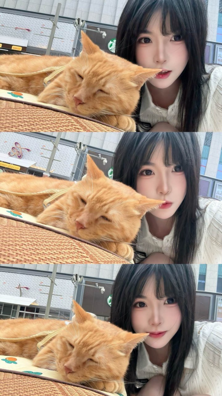 福建 泉州 编号： 339943 （260820）
