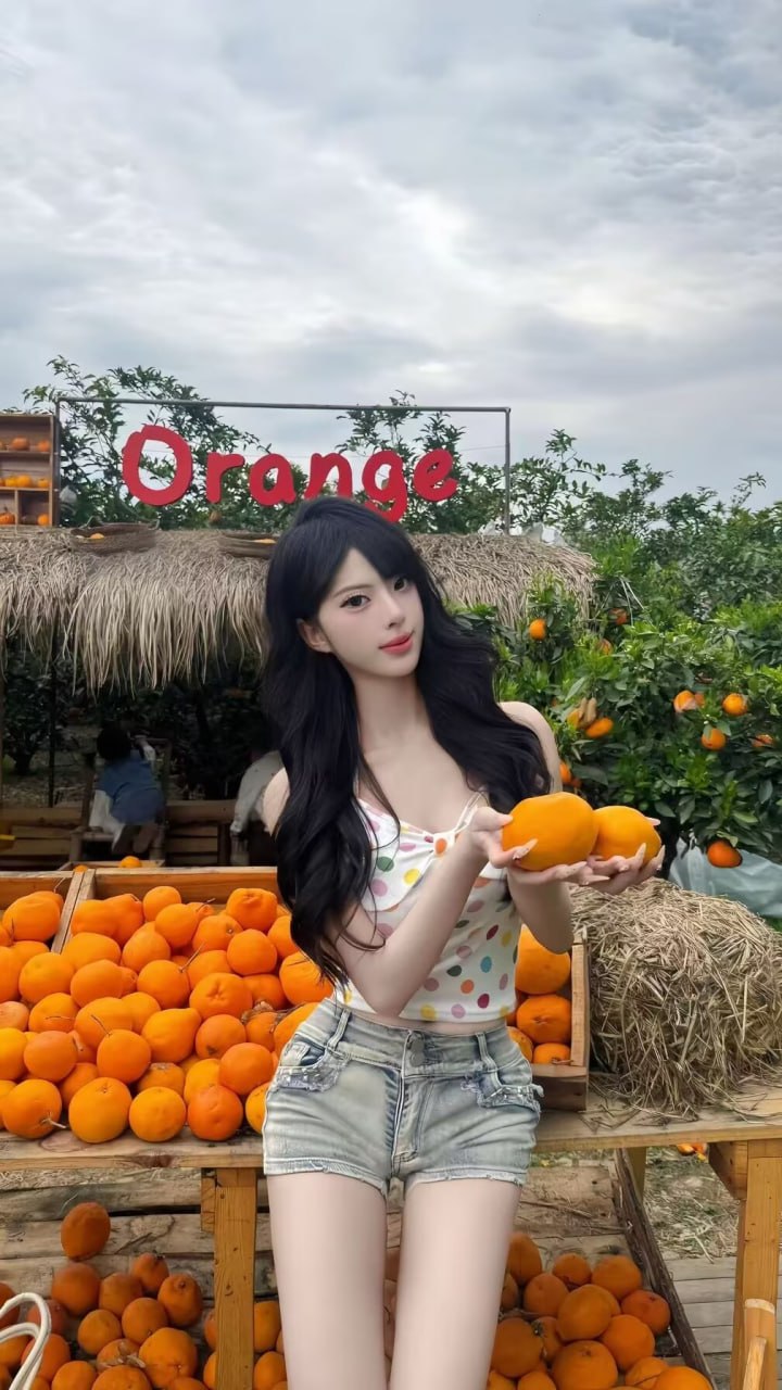 甘肃 兰州 编号：558965 (点击复制)
➡️ 