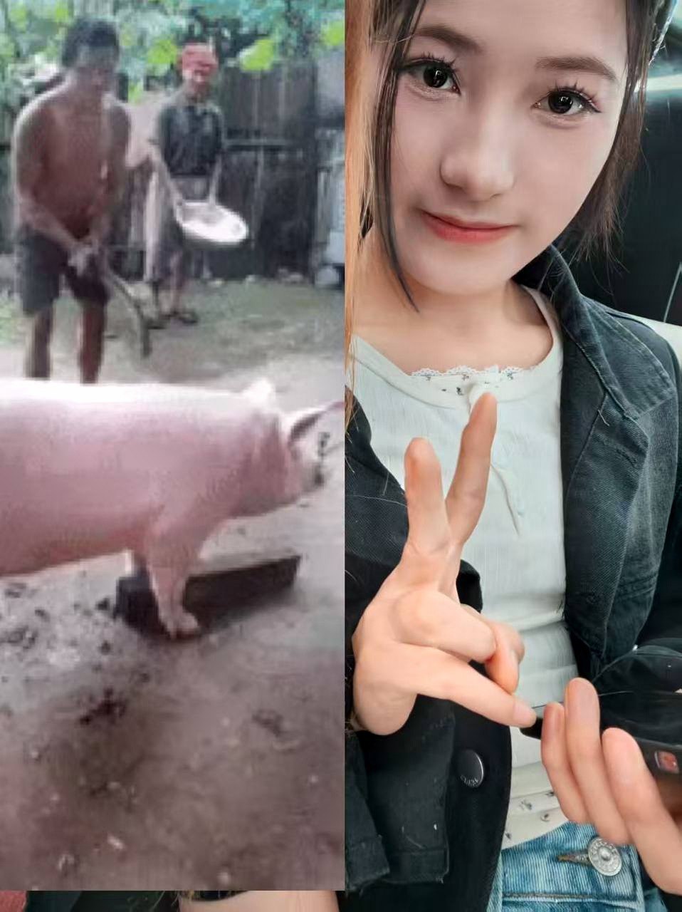 甘肃 兰州 编号： 018382 （260829）
