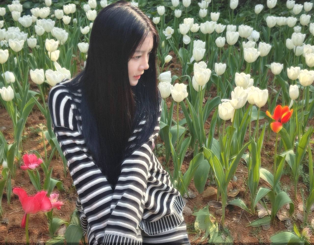 广东 深圳 编号：137039 (点击复制)
➡️ 