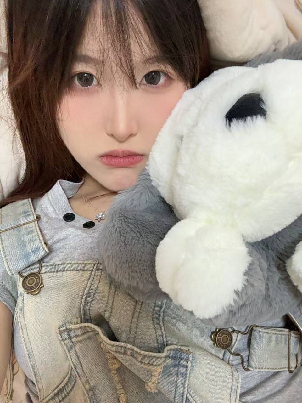 广东 深圳 编号：824273 (点击复制)
➡️ 
