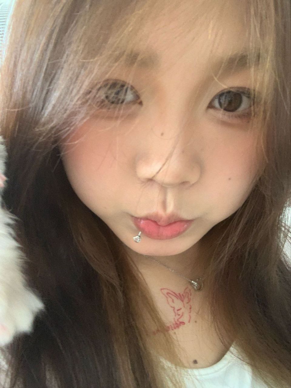 广东 广州 编号：222443 (点击复制)
➡️ 