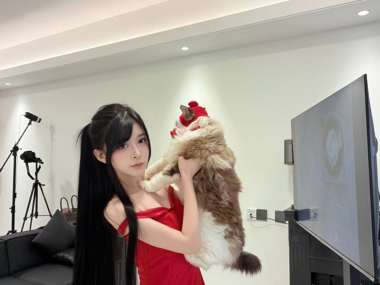 广东 深圳 编号：868309 (点击复制)
➡️ 