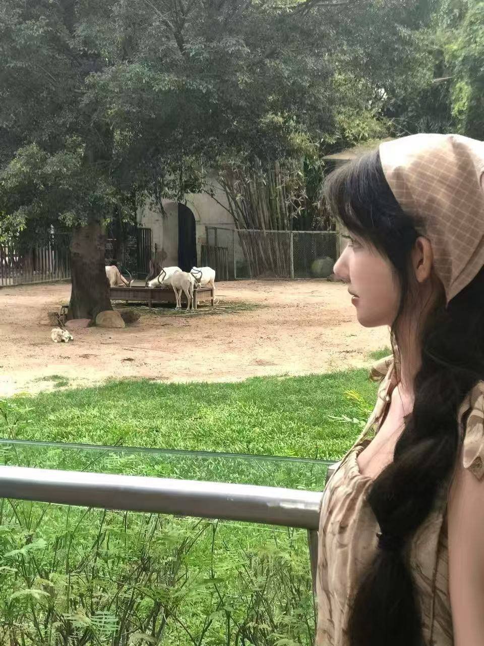 广东 广州 编号：960513 (点击复制)
➡️ 