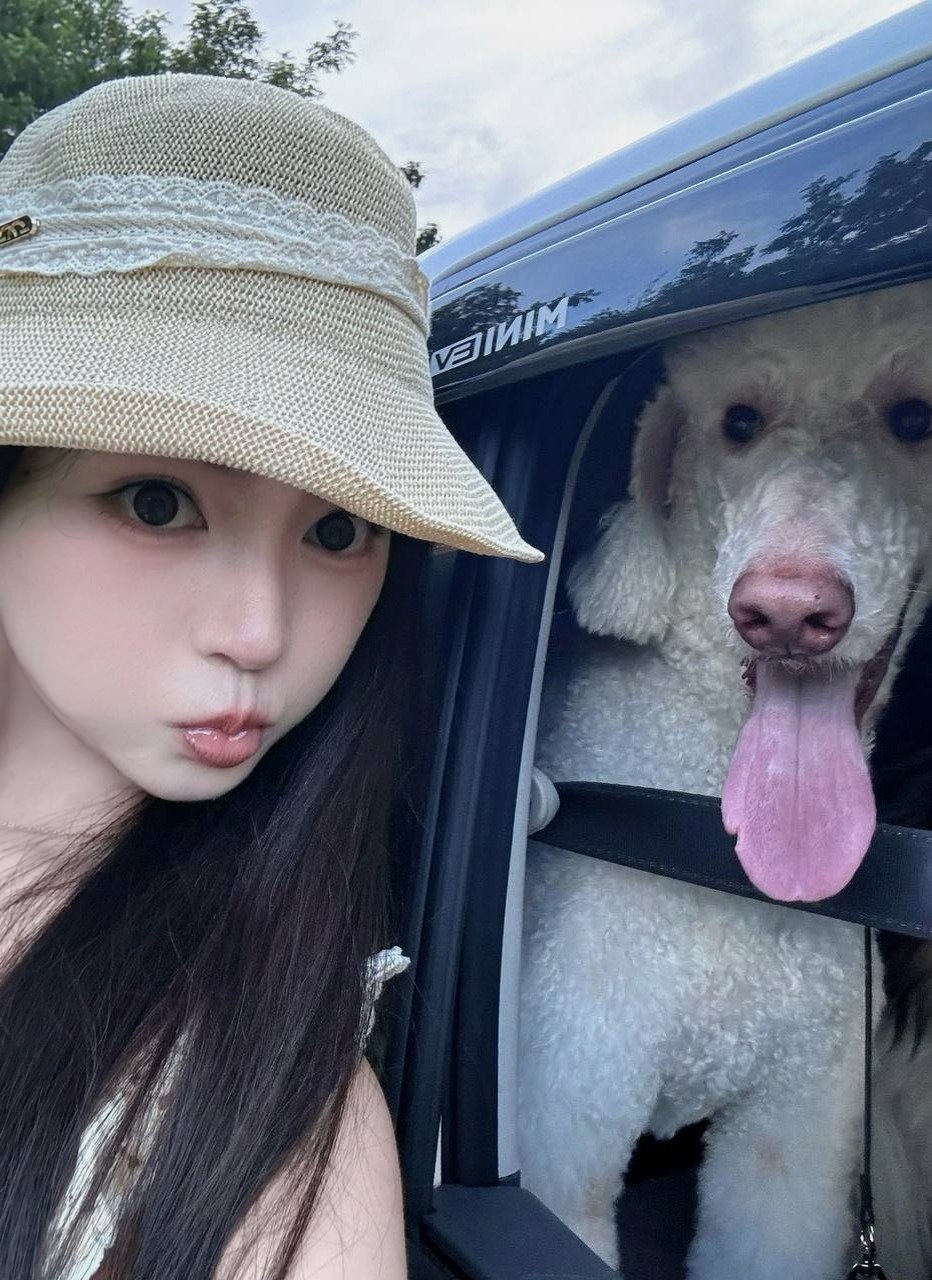 广东 深圳 编号：244813 (点击复制)
➡️ 