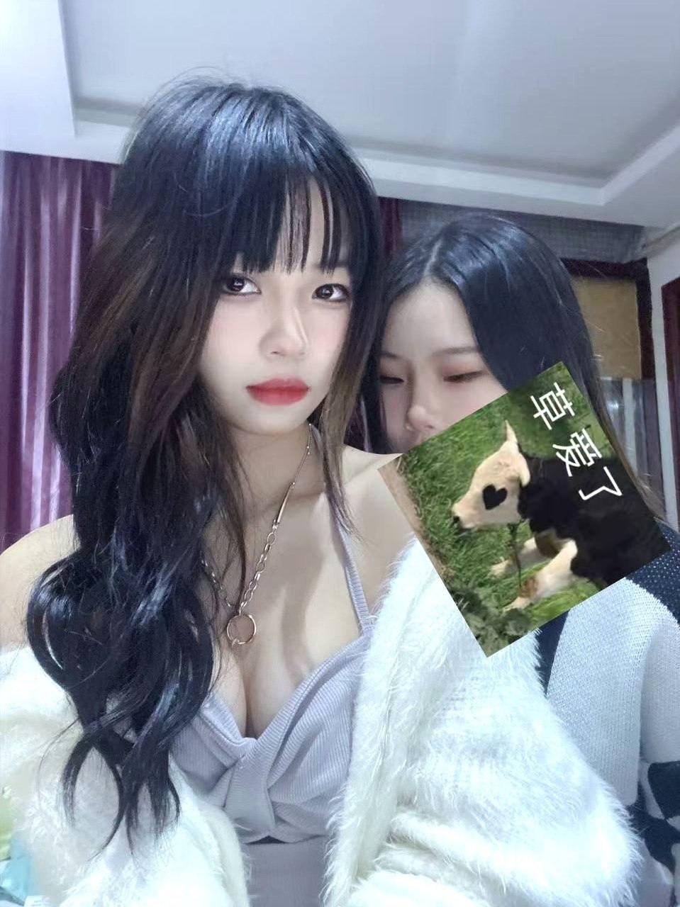 广东 广州 编号：535852 (点击复制)
➡️ 