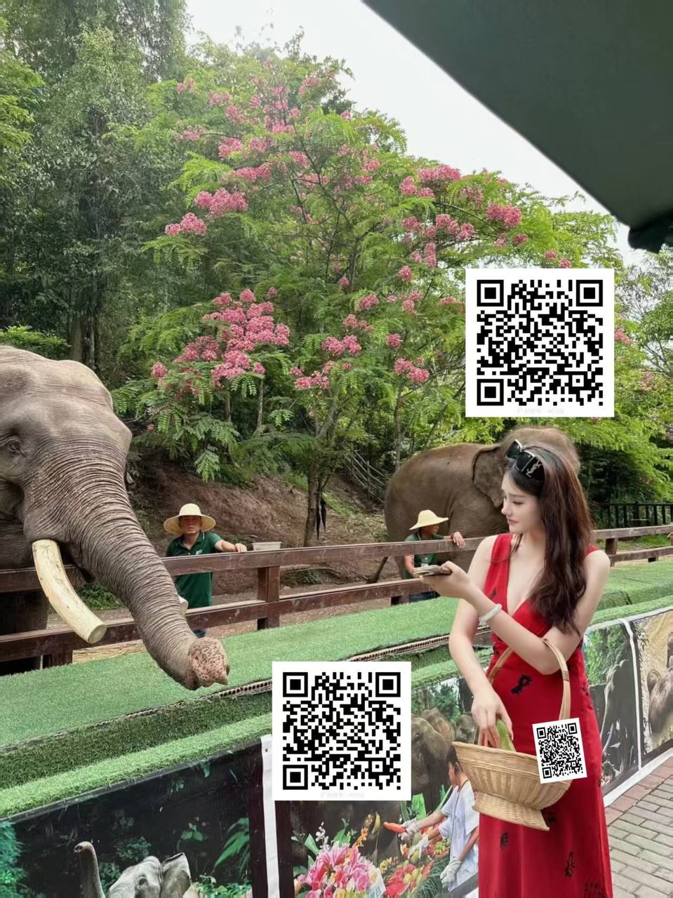 广东 广州 编号：340567 (点击复制)
➡️ 