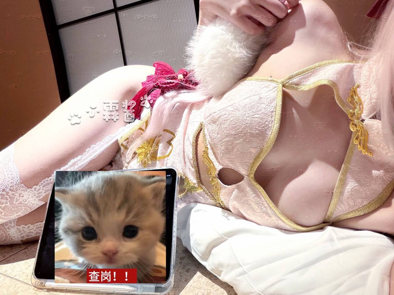 广东 深圳 编号：291792 (点击复制)
➡️ 