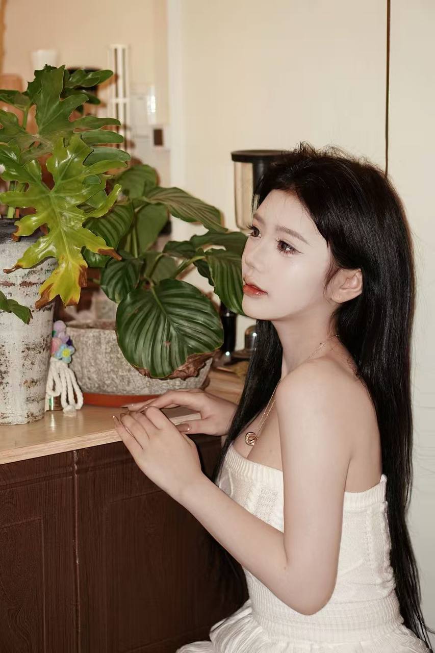广东 湛江 编号：981245 (点击复制)
➡️ 