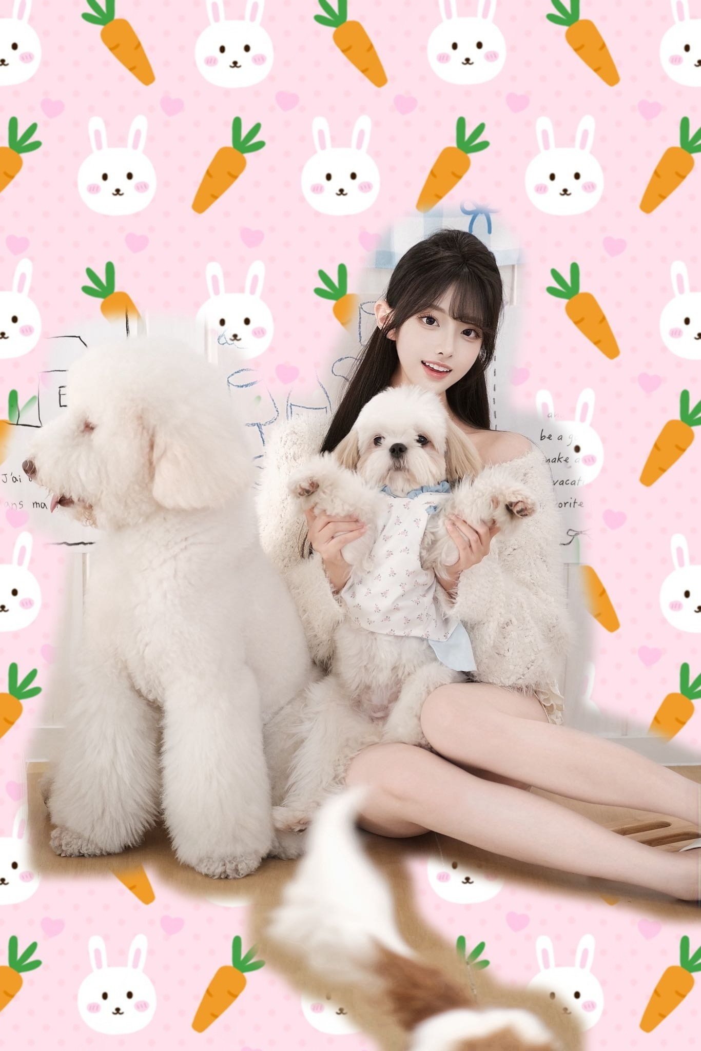 广东 深圳 编号：916886 (点击复制)
➡️ 