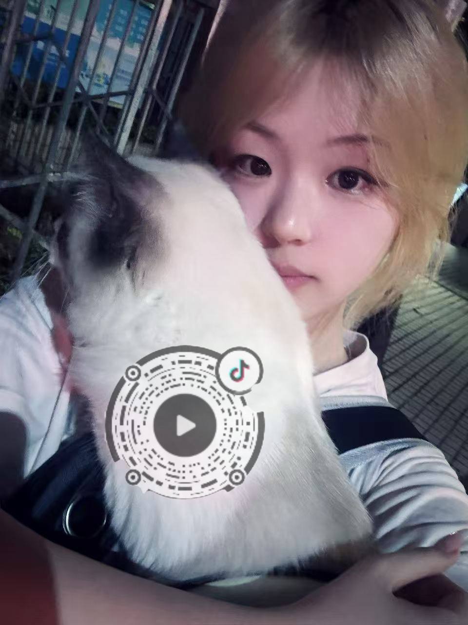 广东 深圳 编号：888017 (点击复制)
➡️ 