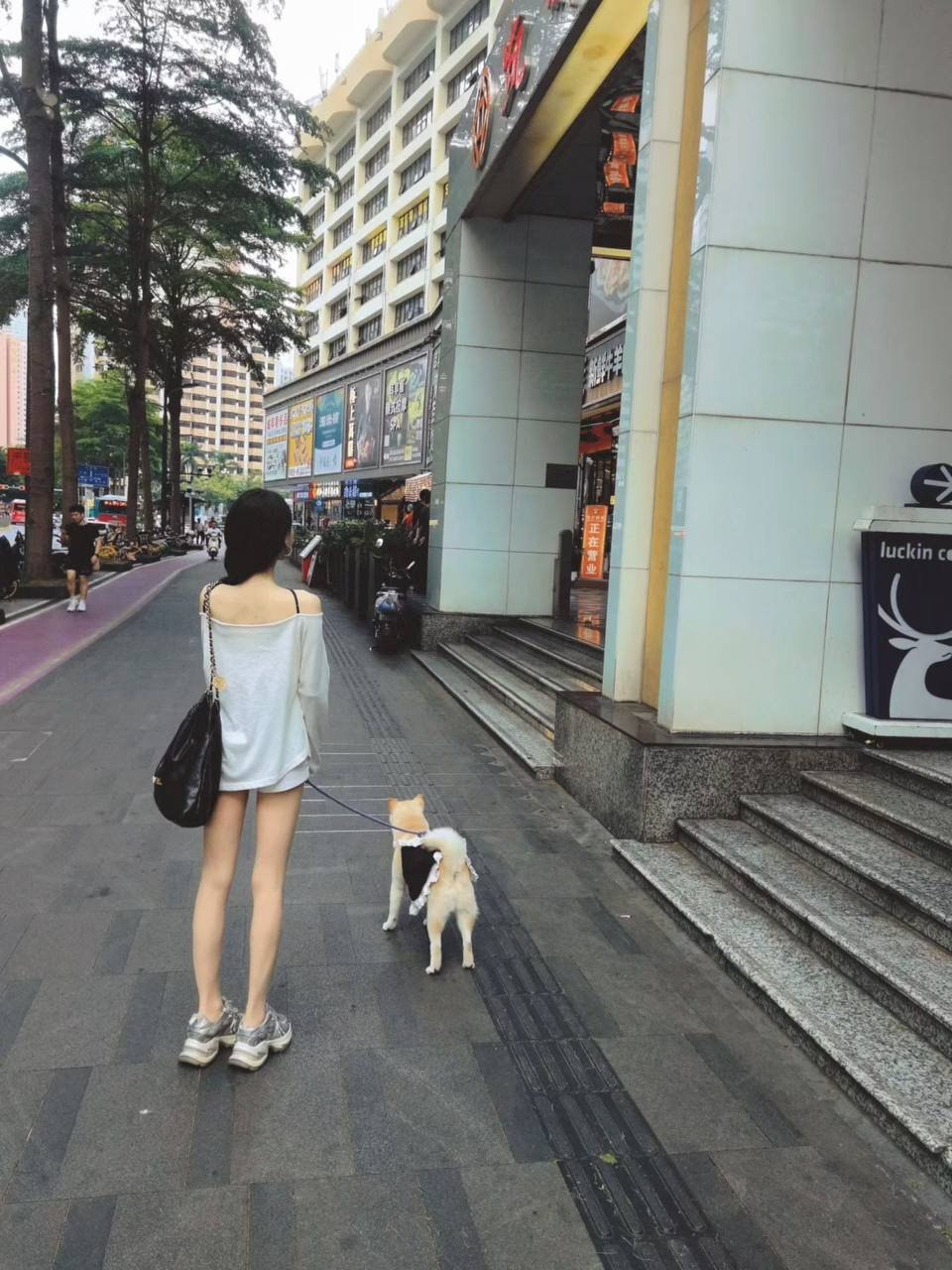 广东 深圳 编号： 272777 （260830）
