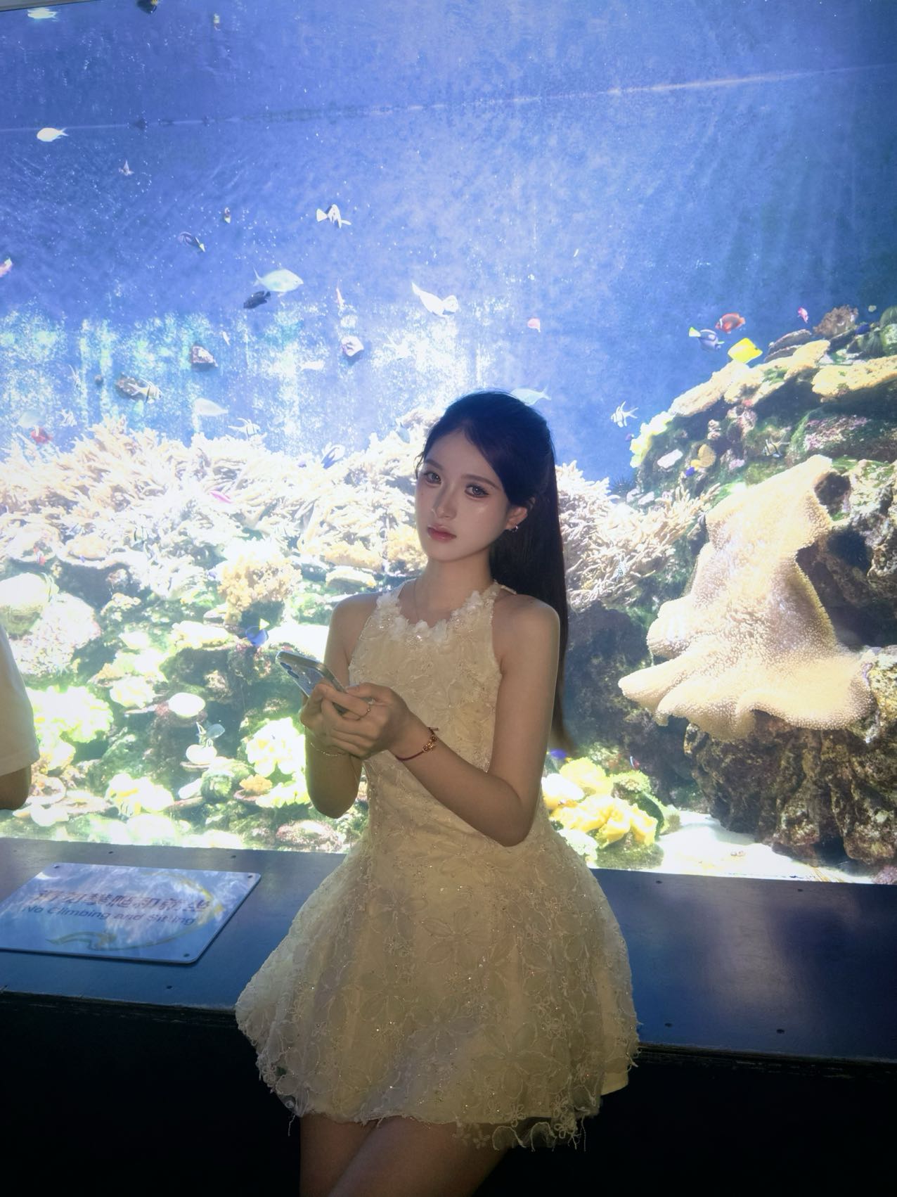 广东 深圳 编号： 054898 （260912）
