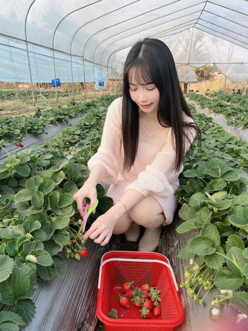 广西 南宁 编号：518097 (点击复制)
➡️ 