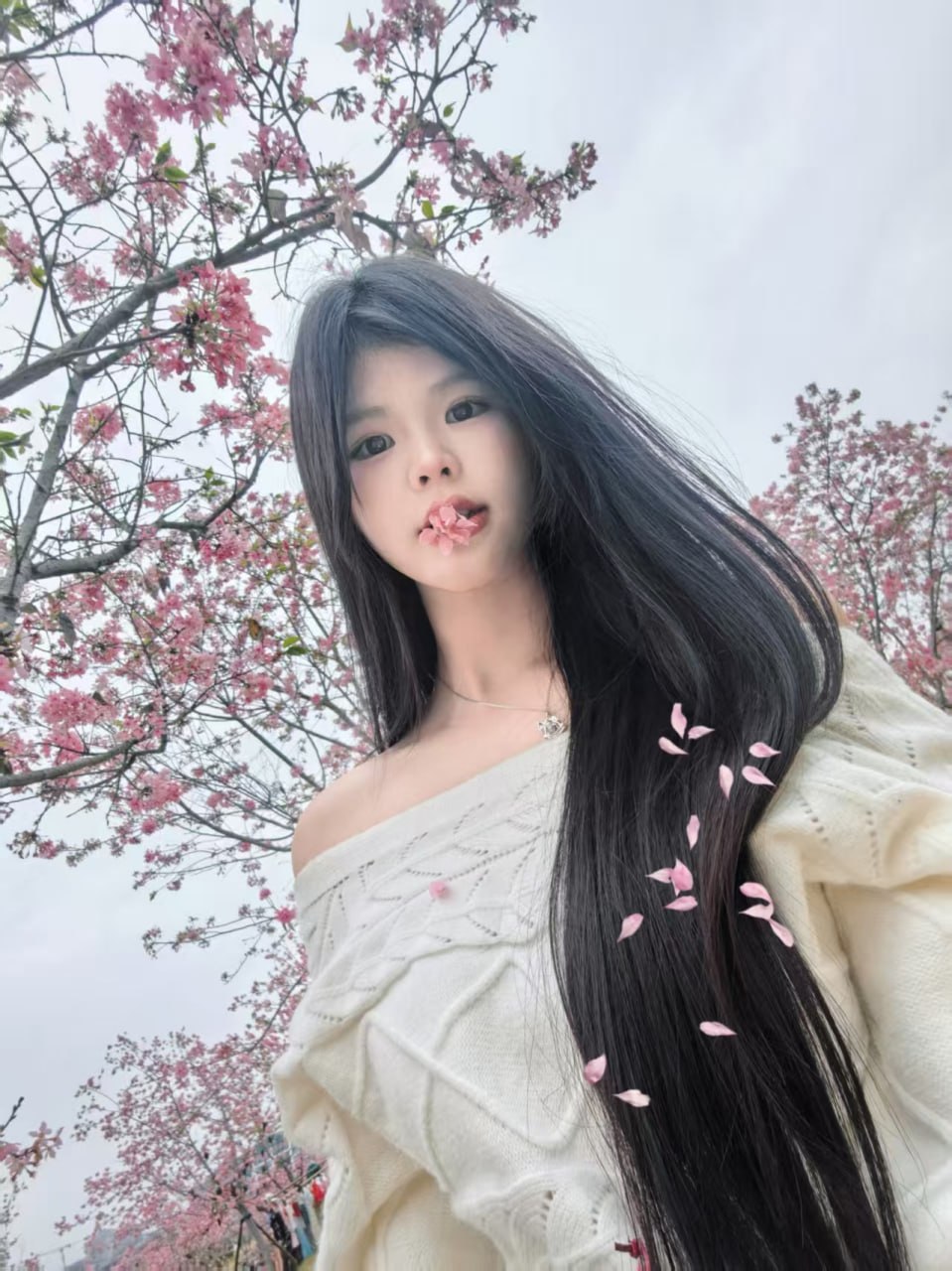 广西 南宁 编号：730816 (点击复制)
➡️ 