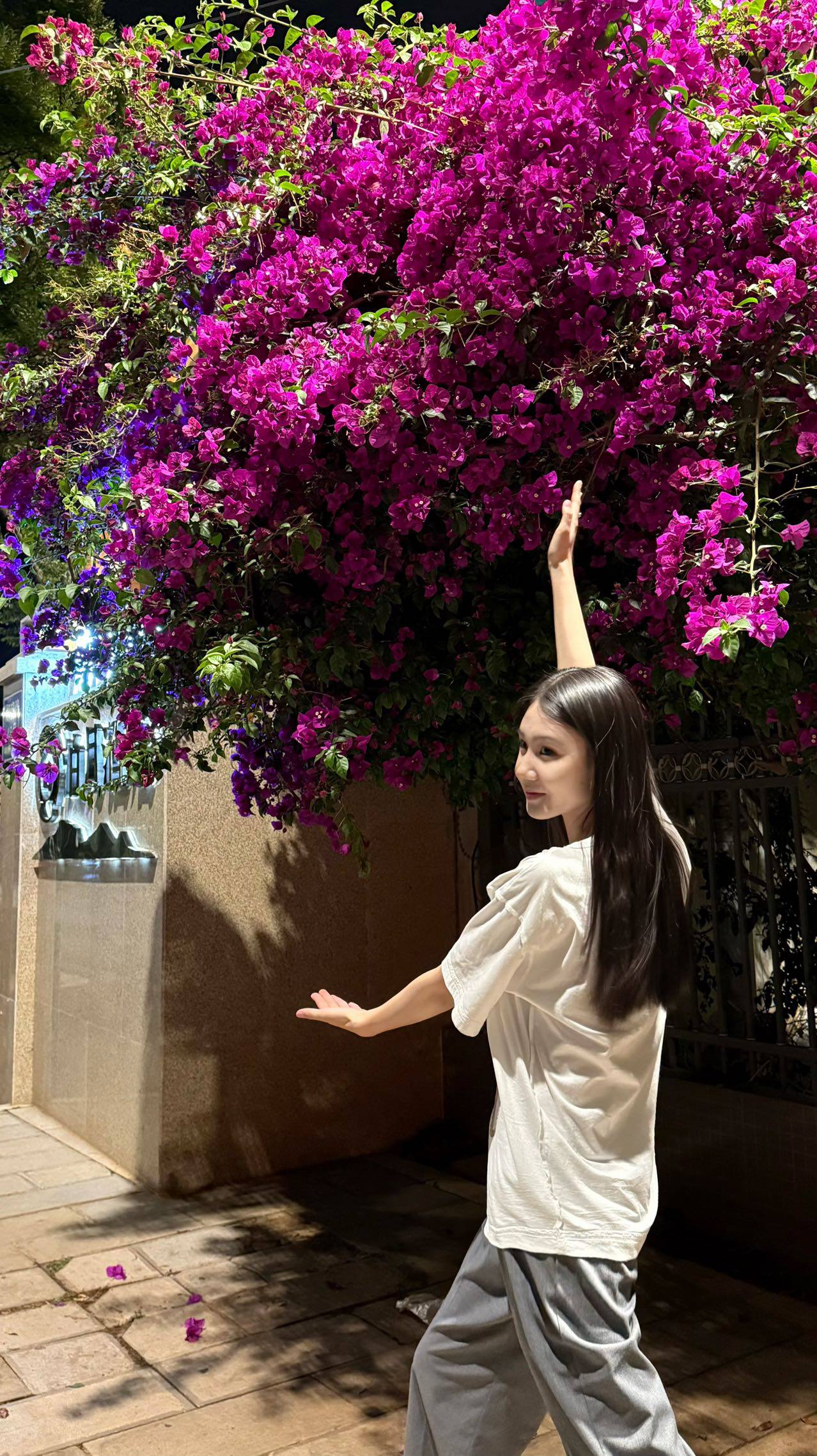 广西 桂林 编号：923123 (点击复制)
➡️ 