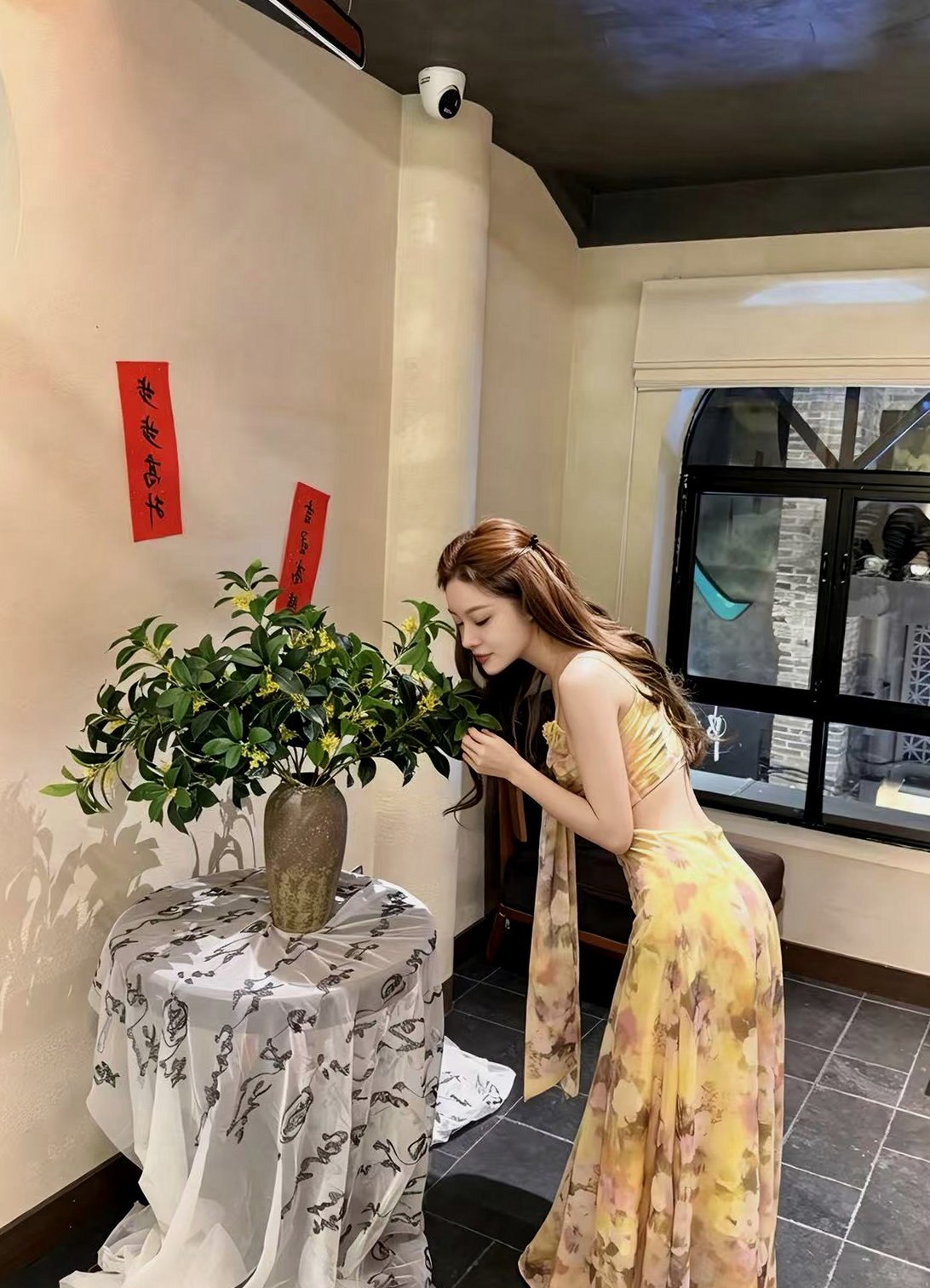 广西 编号：546441 (点击复制)
➡️ 