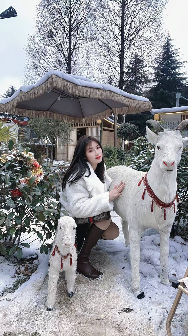 贵州 贵阳 编号：022243 (点击复制)
➡️ 