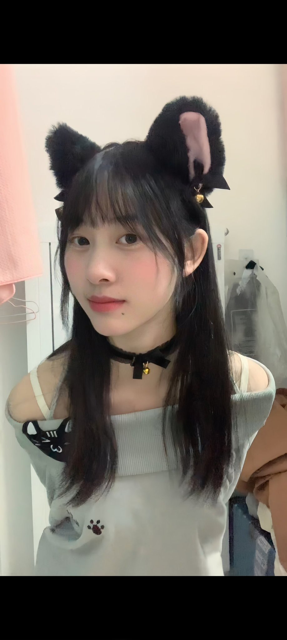 贵州 编号：213180 (点击复制)
➡️ 