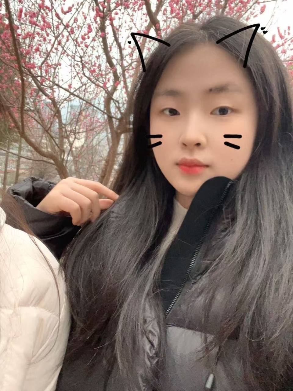 贵州 毕节 编号：382924 (点击复制)
➡️ 