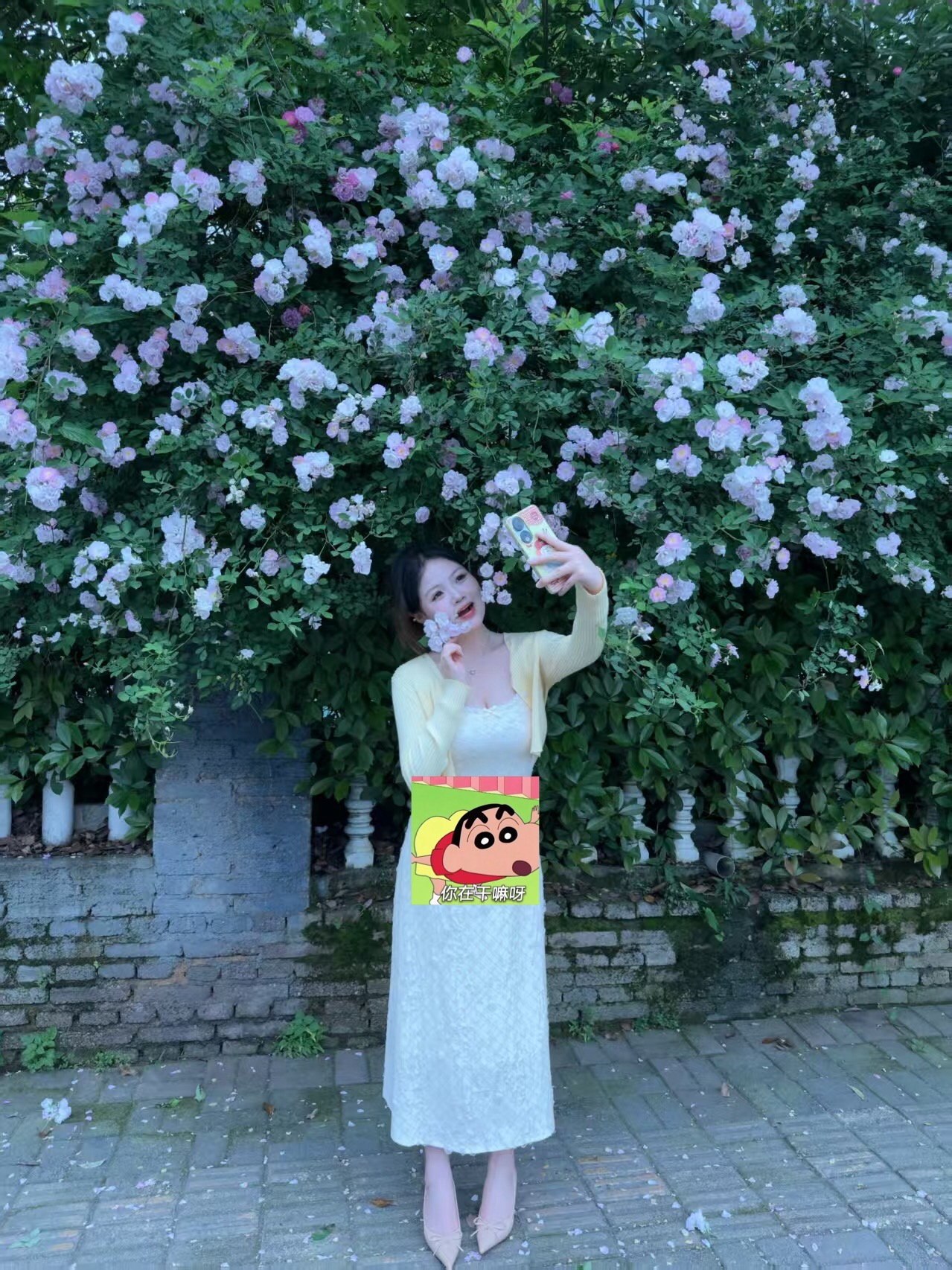 贵州 铜仁 编号：303716 (点击复制)
➡️ 