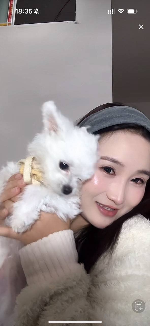 贵州 贵阳 编号：617186 (点击复制)
➡️ 