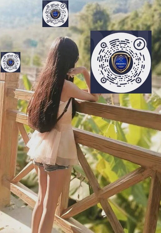 贵州 编号：903798 (点击复制)
➡️ 